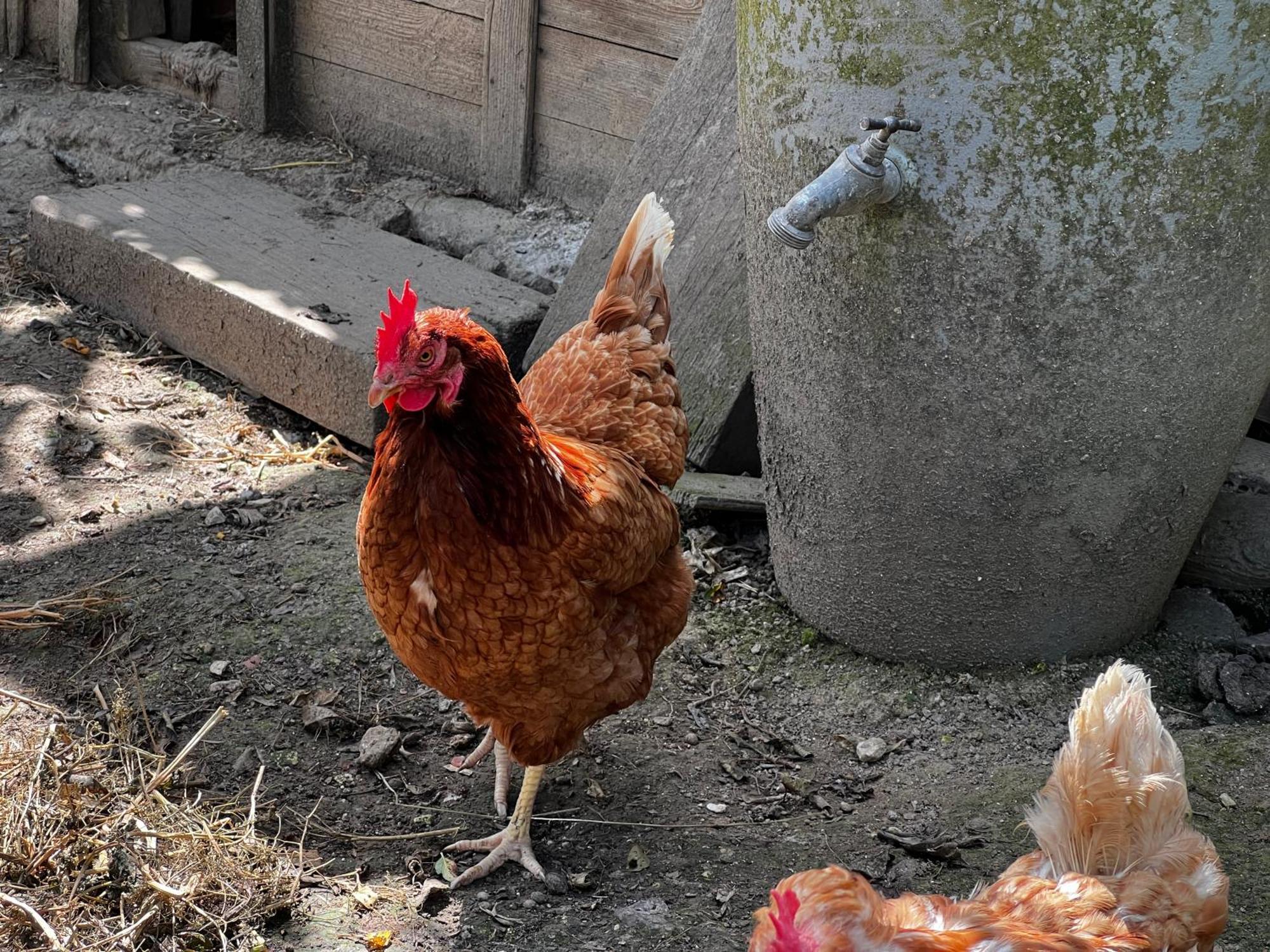 Bed and Breakfast À la ferme de Thilloy Ligny-Thilloy Esterno foto